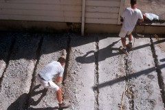 Crack Garden