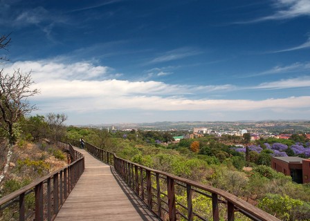 The Freedom Park: //hapo