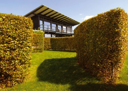 Boundless Garden