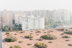 Park, Garden and Green roof of Caja Badajoz