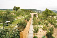 Horticultural Garden