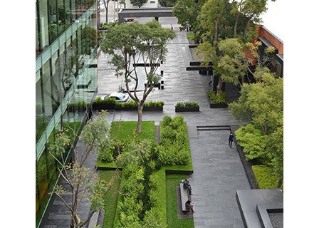 Coyoacán Corporate Campus Landscape