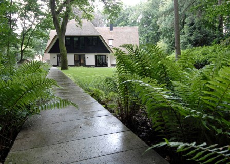 being a guest in the landscape
