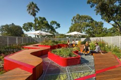 Burnley Living Roofs