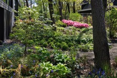 Kerckebosch Woodland Garden
