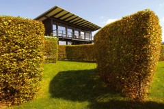Boundless Garden