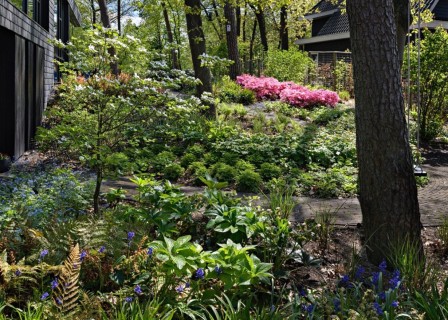 Kerckebosch Woodland Garden