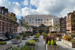 Brown Hart Gardens