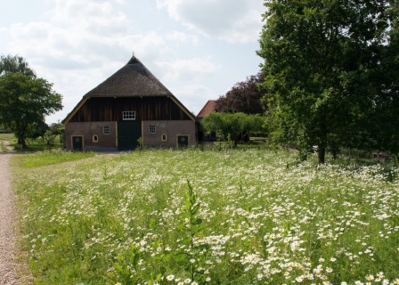 Farmyard Kolkenstein