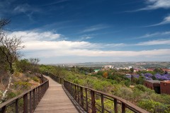 The Freedom Park: //hapo