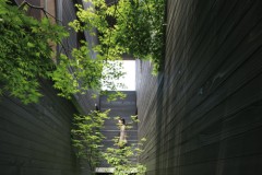 Garden Box