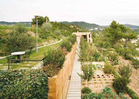 Horticultural Garden