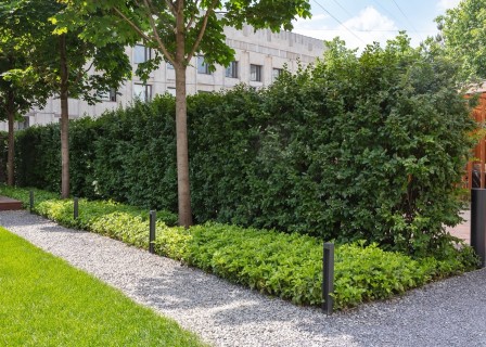 Hidden Garden With Kids’ House