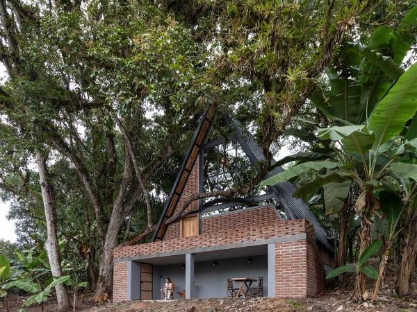 森林中的避难所 / A Shelter in the Forest