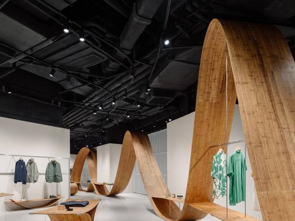 竹子|转弯/实验室。