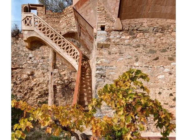 磨坊之家/维拉布兰奇研究所