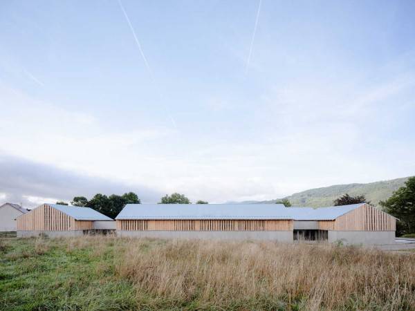 圣陶菲学校和餐厅/STUDIO90