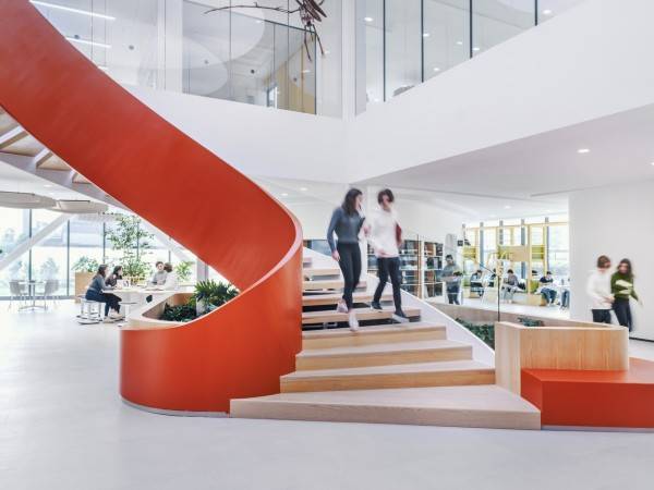 人文树学校蜂巢和飞行/罗桑·博什工作室