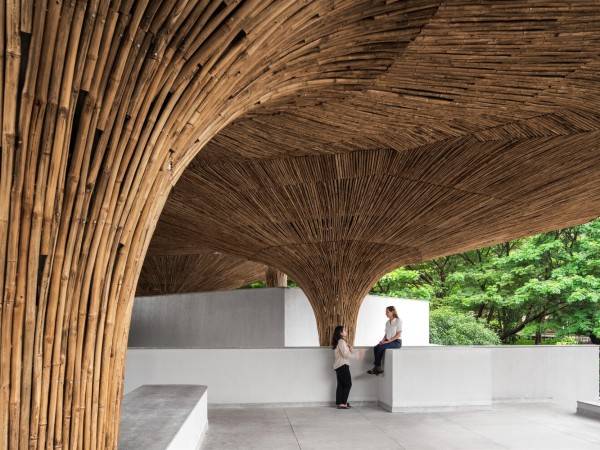 Tapmi包容性增长与竞争力中心/紫墨工作室