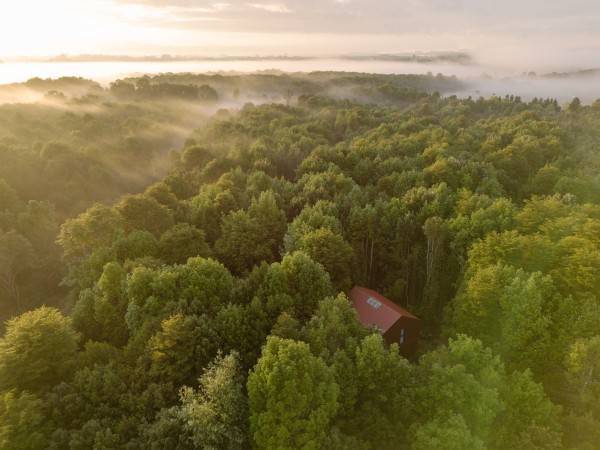 森林中的房子/Daiber&Aceituno Arquitectos