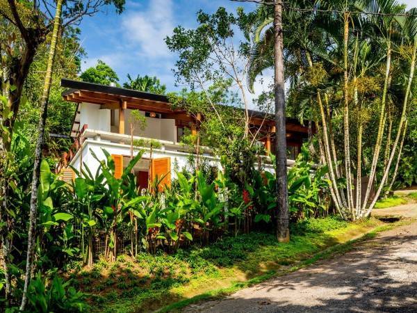 加藤之家/奥布拉·阿尔奎托斯