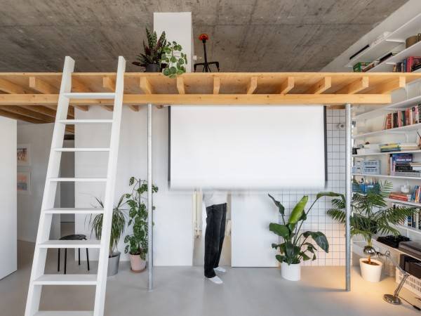 粉红磨坊Aparment/公斤/Honc