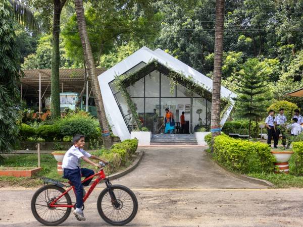 父母棚/病媒基座