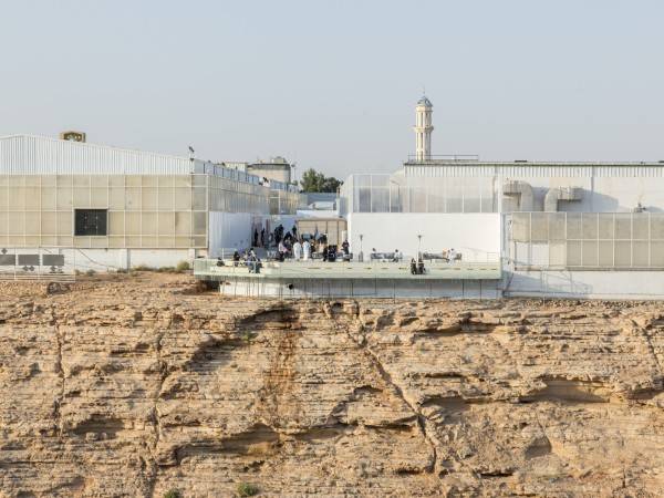 迪里亚双年展基金会/BRICKLAB