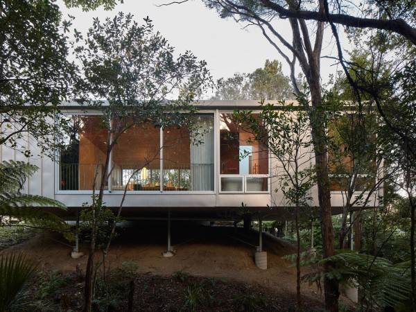 灌木丛房屋/拼花建筑