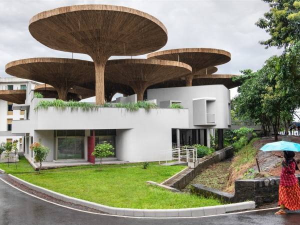 Tapmi 包容性增长与合作中心/ The Purple Ink Studio