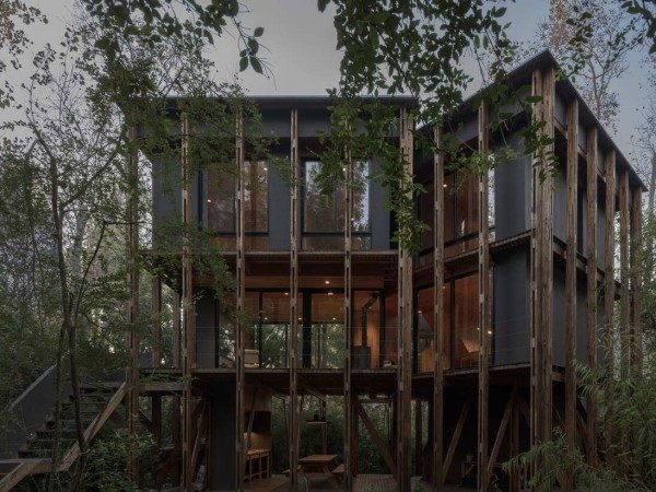 布宜诺斯艾利斯三角洲小屋 / Matías Cosenza Arquitecto