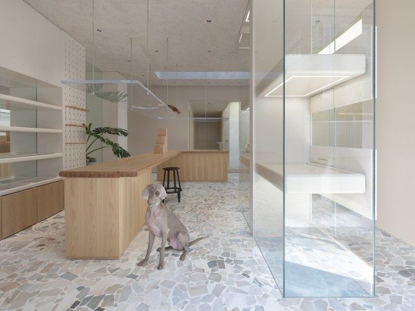 Paw宠物美容空间 / Office AIO