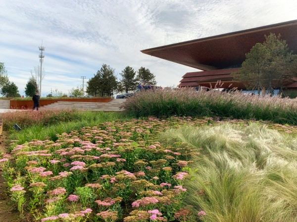 雄安白洋淀水岸公园 /  TLS Landscape Architecture