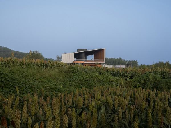 后窗，BMX小轮车比赛看台 /  殊至建筑