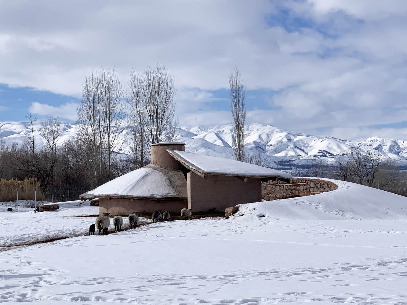 Palanga 山羊庇护所 / Erginoğlu & Çalışlar 建筑师事务所