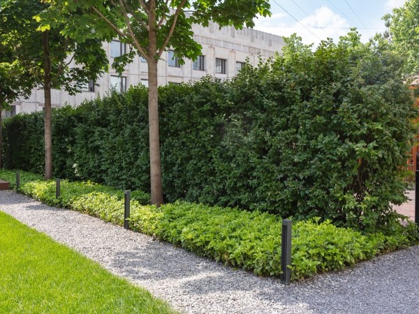 Hidden Garden With Kids’ House