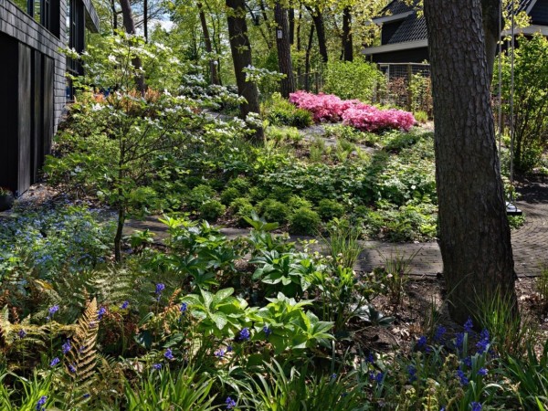 Kerckebosch Woodland Garden