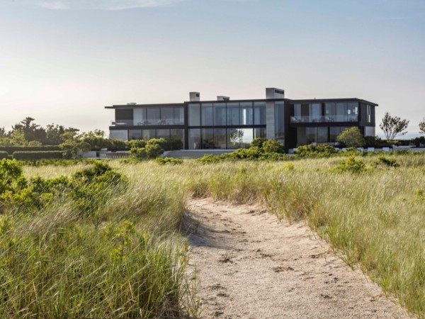 Dune Meadow