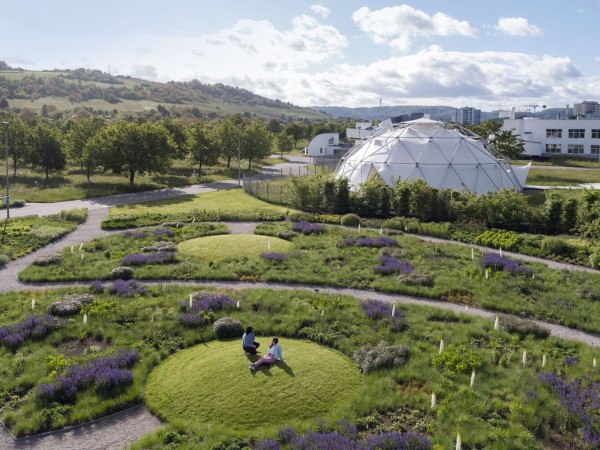 Vitra Oudolf 花园 / Piet Oudolf