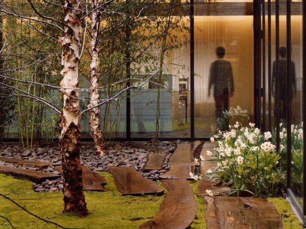 Tahari Courtyards