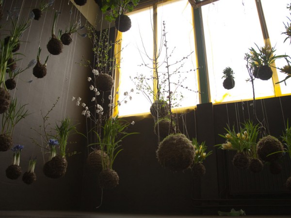 String Gardens