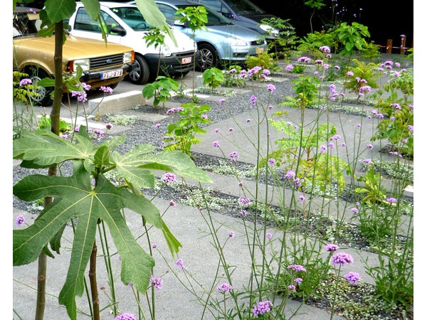 Boerenhol’ [Park]ing