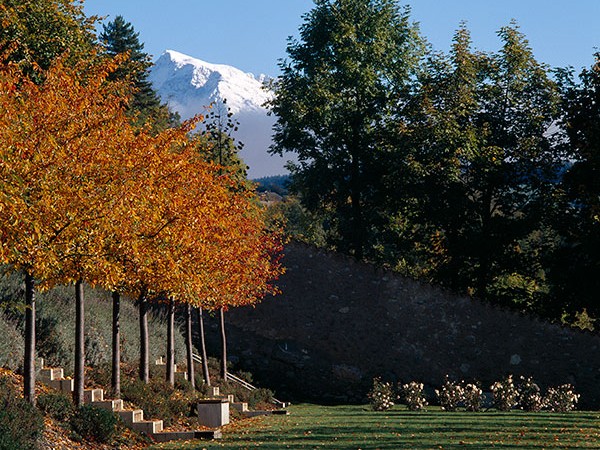 Charance Terrace Garden