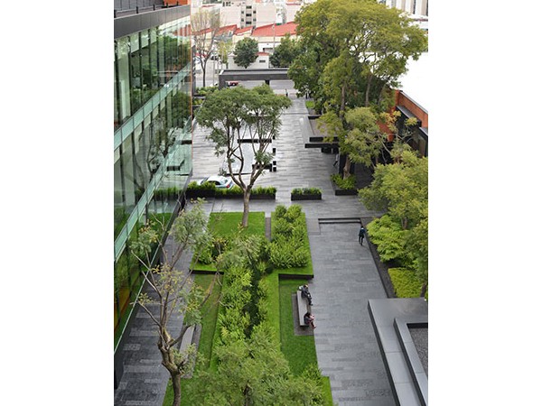 Coyoacán Corporate Campus Landscape