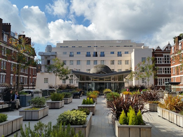 Brown Hart Gardens