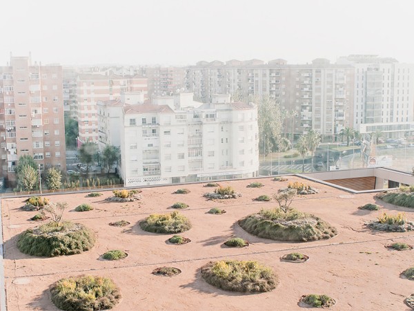 Park, Garden and Green roof of Caja Badajoz