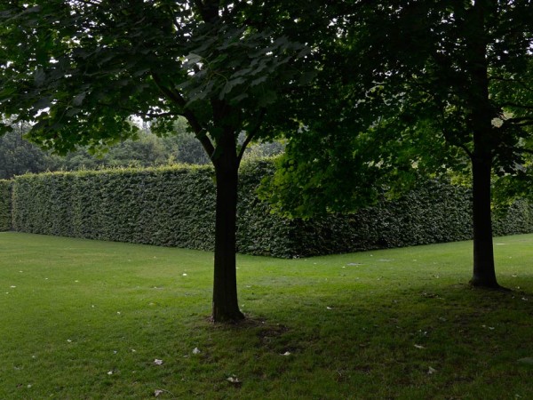 The Written Garden