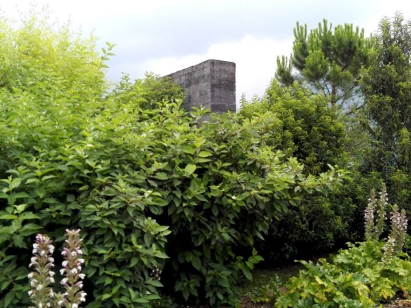Garden of Seven Moments