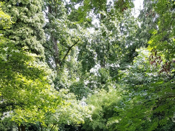 City Garden of Happiness