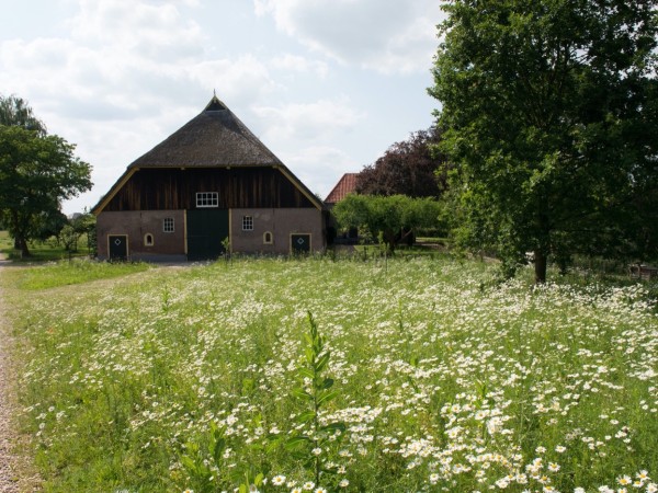 Farmyard Kolkenstein